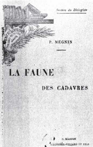 Fauna de los cadáveres