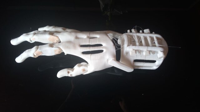 Entrega y revisión de los avances del proyecto