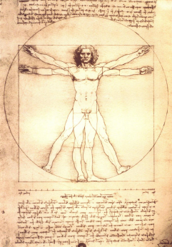 Vitruviuse mees, Leonardo da Vinci