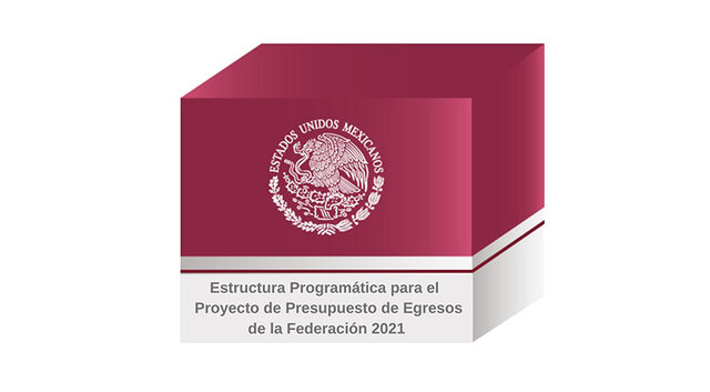 NEP Nueva Estructura Programatica