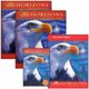 Harcourt horizons united states history