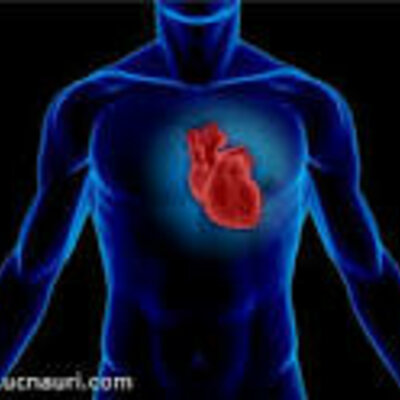 Timeline: გული