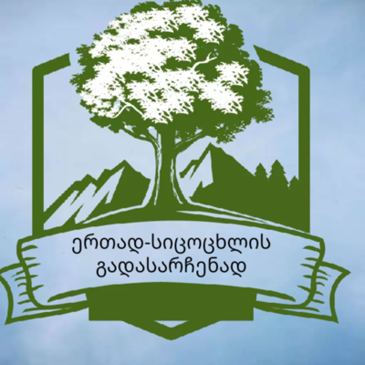 Timeline: პროექტი-ერთად სიცოცხლის გადასარჩენად!