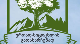 Timeline: პროექტი-ერთად სიცოცხლის გადასარჩენად!