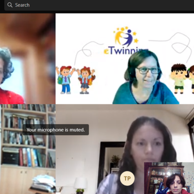 Timeline: ჩემი პორტფოლიო