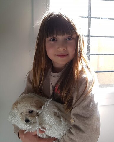 Llegó mi perrita Molly