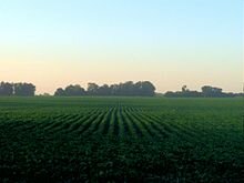 Aparece la agricultura