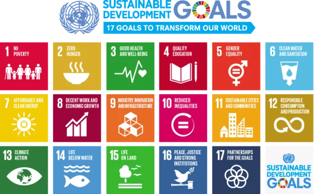 United Nations Millennium Development Goals