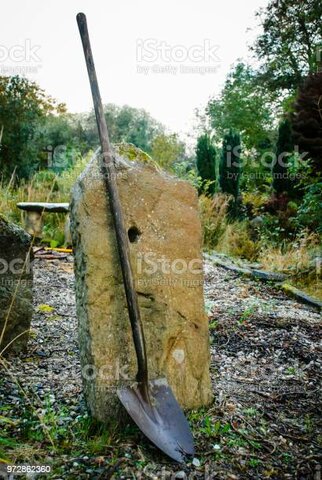 Primer caso resuelto por entomología