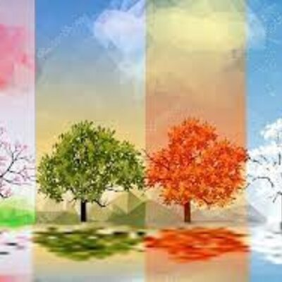 Timeline: წელიწადის  დროები