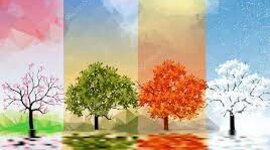 Timeline: წელიწადის  დროები