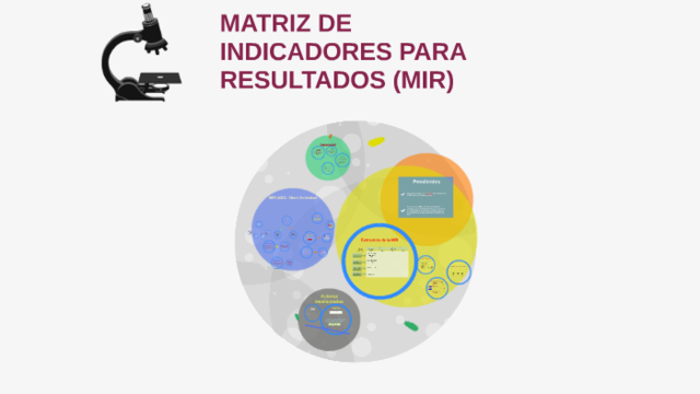 MATRIZ DE INDICADORES PARA RESULTADOS