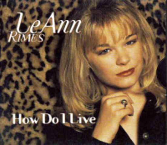 LeAnn Rimes and Bryan White concert