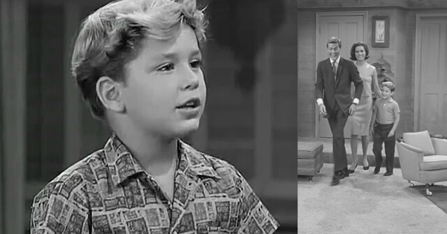 he had his son Barry van dyke