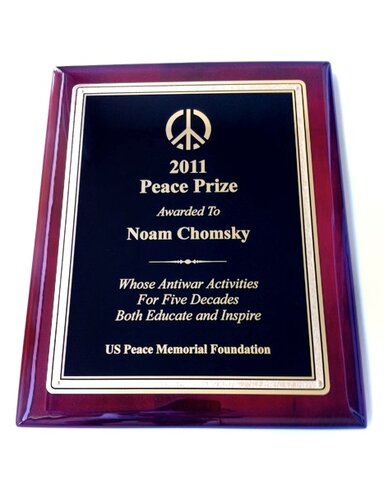 2011 US peace prize for anitwar activities