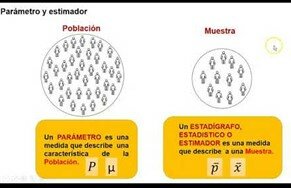 Estimador Estadístico: