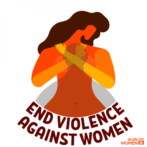 Laws against Violence towards Women (Violence Against Women Act)