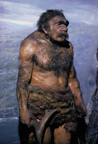 Homo Sapiens Neanderthalensis