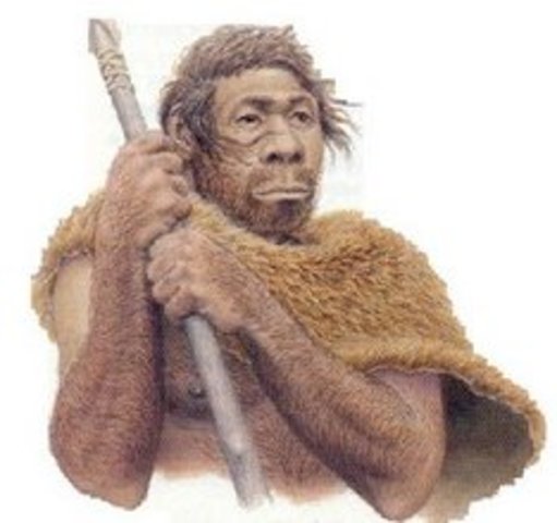 Homo Neanderthalensis