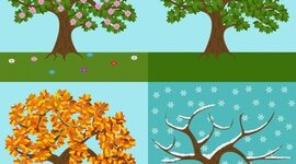 Timeline: პროექტი INNOVA TEENs