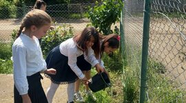 Timeline: პროექტი