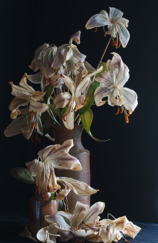 Lily and Snow Flower Stop Talking