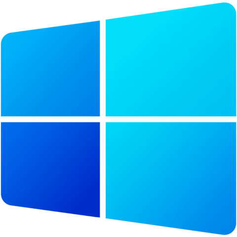 Windows 11
