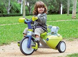 Áreas sensoriales motoras