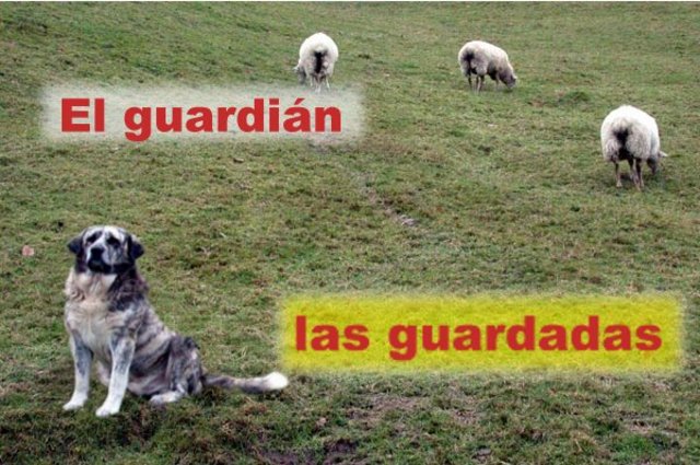 El guardian
