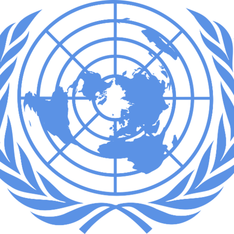 1er Asamblea Mundial del Envejecimiento en la O.N.U.