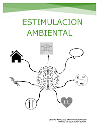 Factores biológicos cognitivos