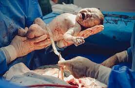 Carencias nutritivas