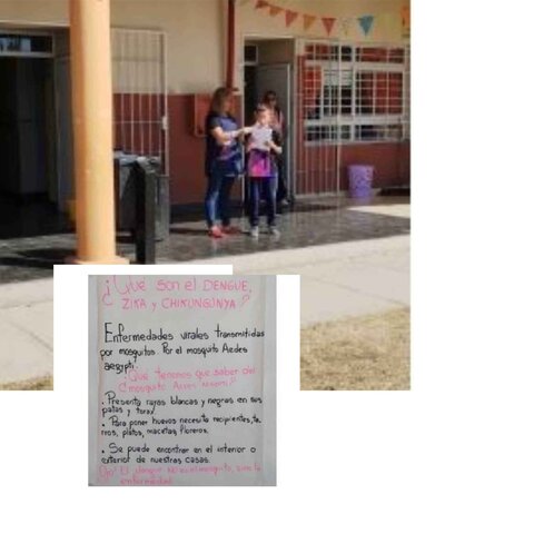 Conociendo el dengue con 7º C