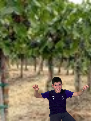 The farmer