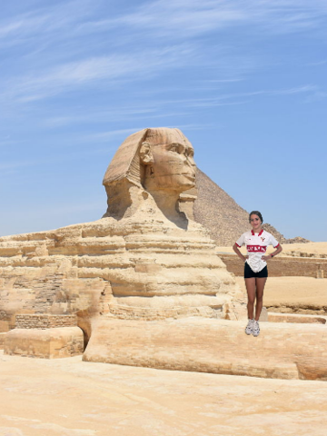 SphinX
