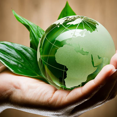 Timeline: E1-U5. Teories Origen de la Vida i de l'Evolució