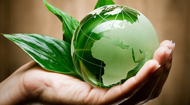 Timeline: E1-U5. Teories Origen de la Vida i de l'Evolució