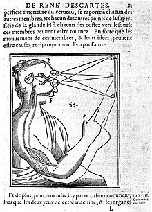 Primeros trabajos de DESCARTES