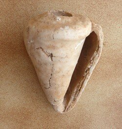 Fossils in Fuerteventura (the oldest island)