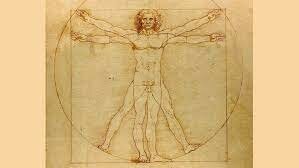 Hombre Vitruvio
