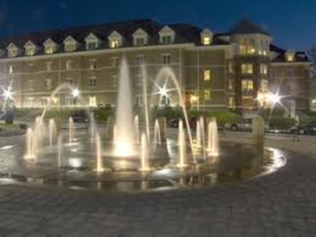 Andy Grammer Graduated At California State Unitversity