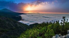 Timeline: Science and technology in the Canary Islands