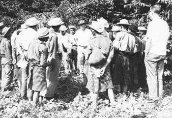 El año de los tratados