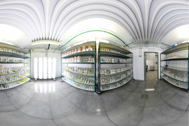 The Spanish Bank of Algae was founded