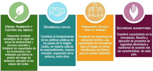Areas tematicas de la cooperacion