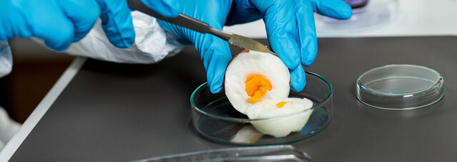 Desarrollo de estándares de seguridad alimentaria (siglo XX)