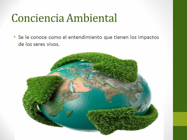 Conciencia ambiental.