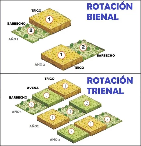 EL CREIXAMENT DE LES CIUTATS