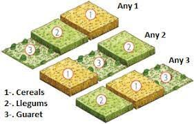 Creixement econòmic