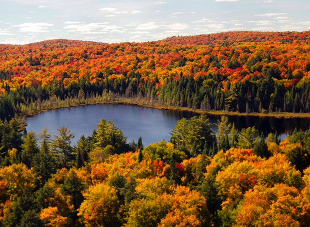 Algonquin Provincial Park